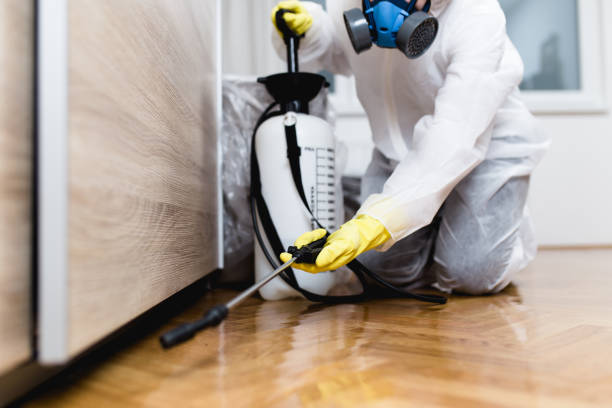 Best Residential Pest Control  in Grandview, WA