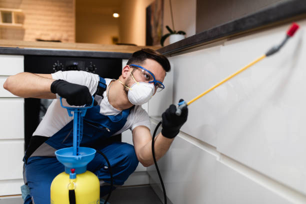 Best Flea Control Services  in Grandview, WA