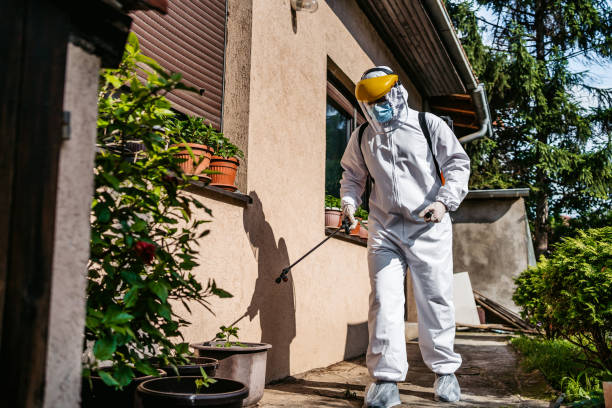 Best Affordable Pest Control Services  in Grandview, WA