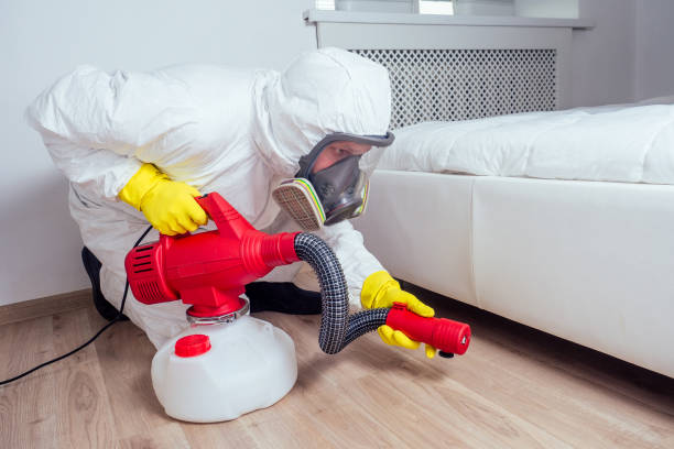 Best Insect Control  in Grandview, WA