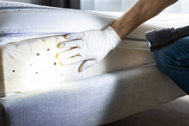 Best Affordable Pest Control Services  in Grandview, WA