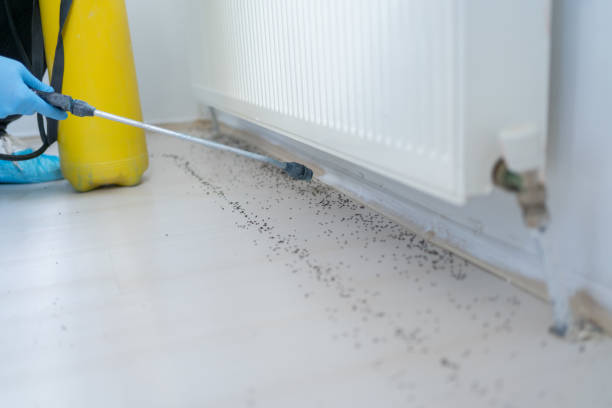 Best Pest Prevention Services  in Grandview, WA