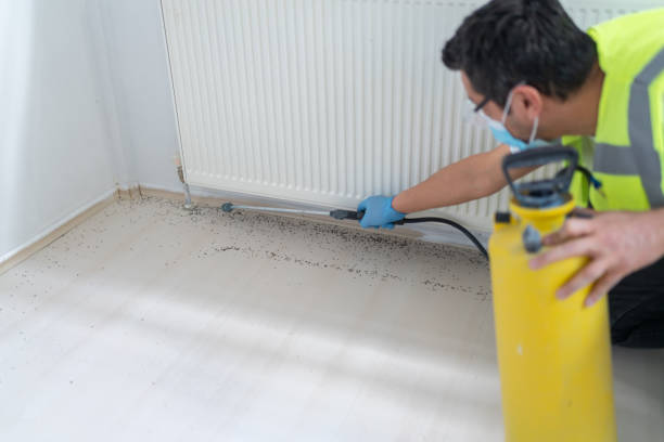 Professional Pest Control in Grandview, WA