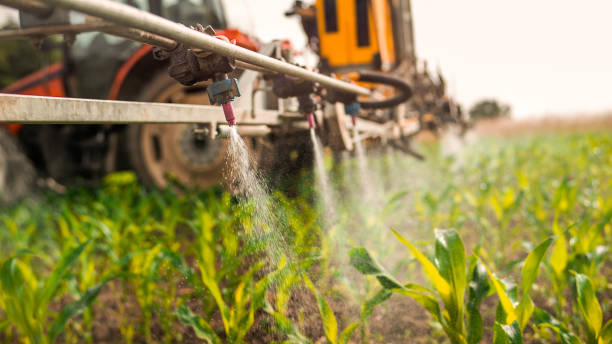 Best Pest Removal Services  in Grandview, WA