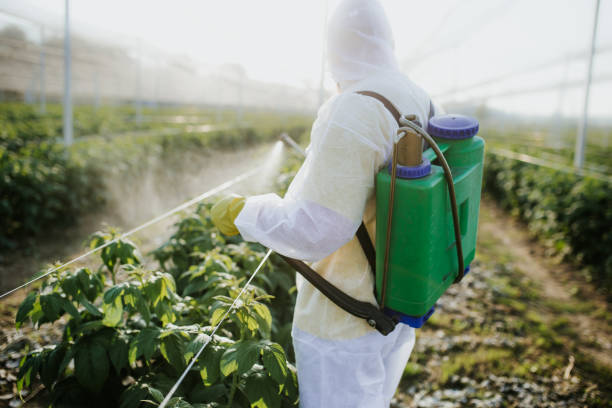 Best Rat Extermination Near Me  in Grandview, WA